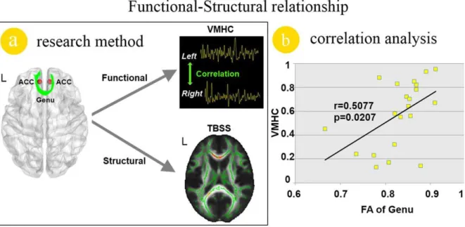 Figure 4. Functional and structural relationship analysis results in migraine patients