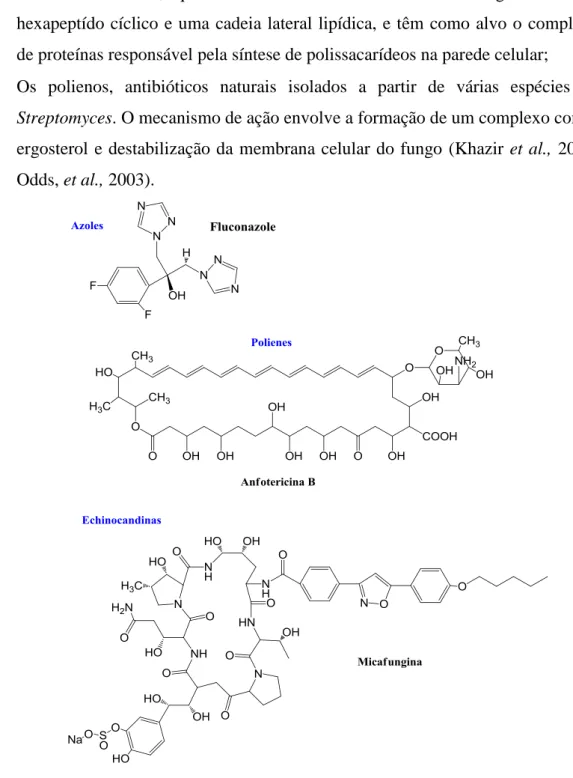 Figura 1.17: Estrutura de alguns agentes antifúngicos usados em terapêutica. 