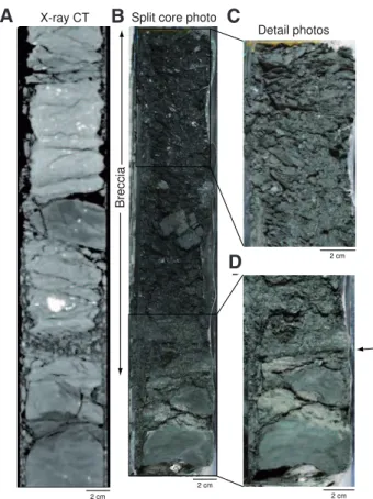 Figure  5.  Fault  core  example  from  the  frontal  thrust  region  at  Site  C0007  (Expedition  316)
