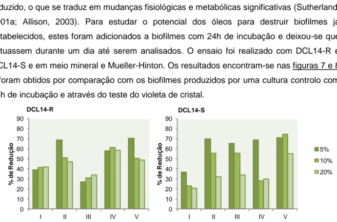 Figura  7.  Percentagem  de  redução  de  biofilmes  estabelecidos,  relativamente  ao  controlo  negativo,  utilizando  diferentes  óleos  essenciais,  a  concentrações  correspondentes  a  20,  10  e  5%  das  suas  MICs