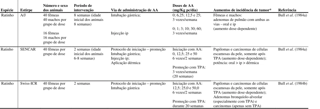 Tabela III. Resultados dos estudos de tumorigénese da acrilamida no ratinho. Adaptado de Hogervorst et al