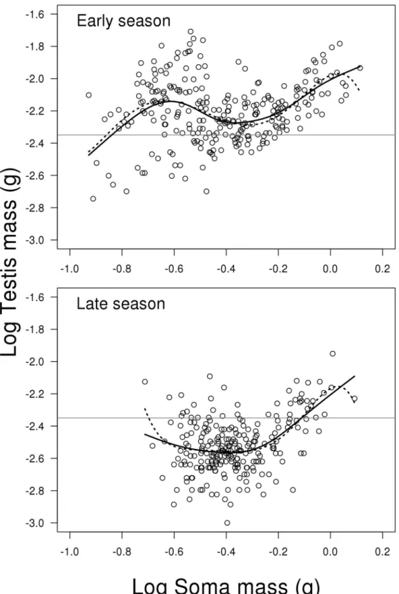 Fig 4. Scatterplots of log testes weight on log soma mass depending on reproductive season