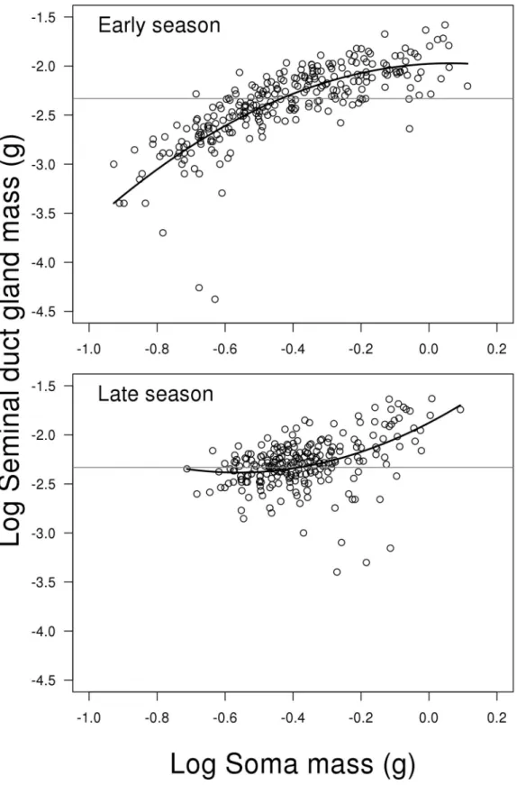 Fig 5. Scatterplots of log seminal duct gland mass on log soma mass depending on reproductive season