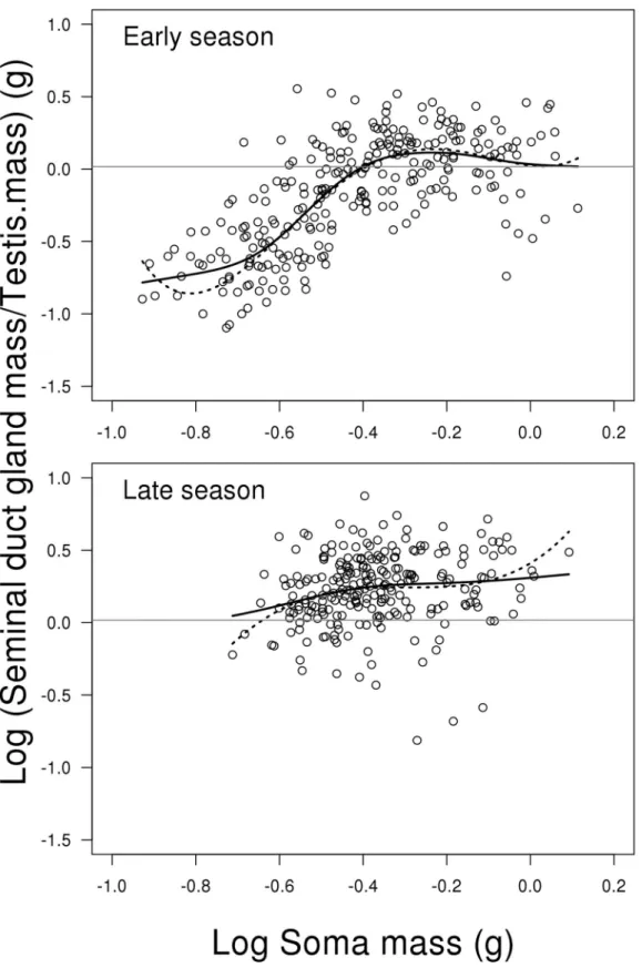 Fig 6. Scatterplots of log relative investment in seminal duct gland to testes weight on log soma mass depending on reproductive season