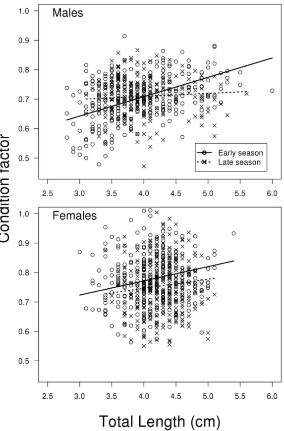 Fig 7. Condition factor. Total weight (g) * 100/total length (cm) 3 ) vs. length, for males sampled early and late in the reproductive season