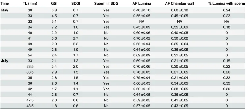 Table 1. Length, GSI and SDGI values and histological data for male Gobiusculus flavescens collected in early (May) and late (July) reproduction season 2008.