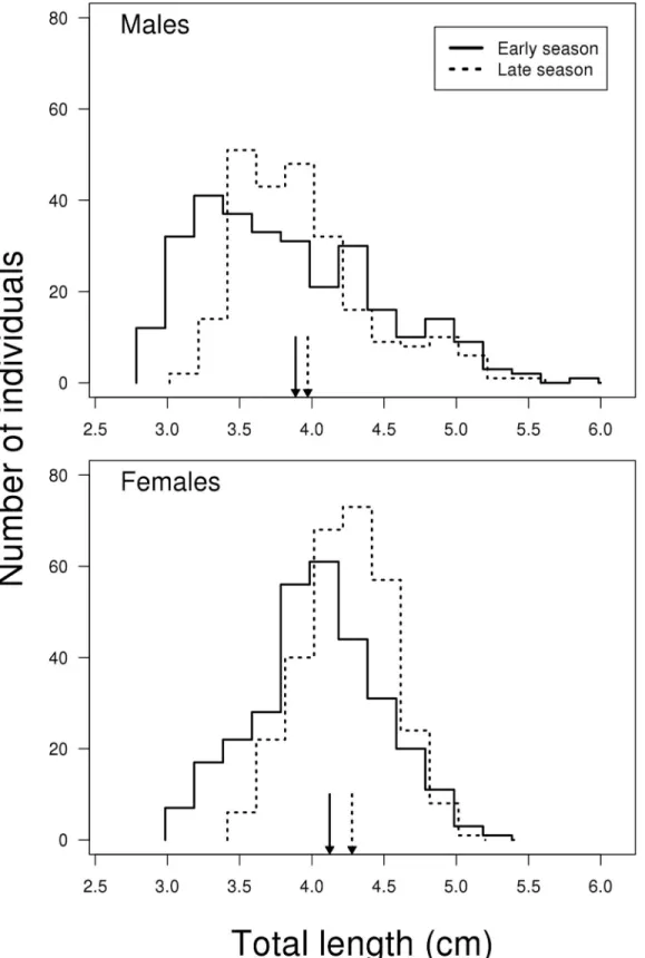 Fig 1. Size distribution of male and female two-spotted goby in early (May) and late (July) reproductive season