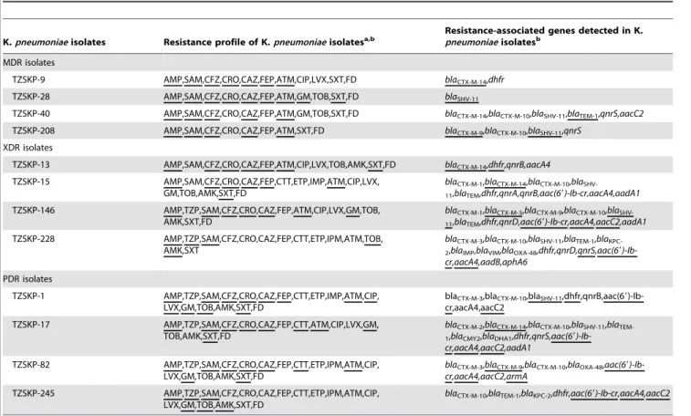 Table 6. Transmissibility of drug resistance of ESBL positive MDR, XDR and PDR K. pneumoniae isolates by conjugation.