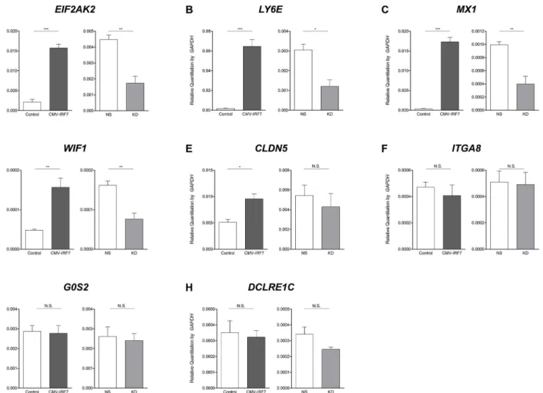 Fig 5. Validation of differentially expressed genes by quantitative reverse transcriptase PCR (qRT-PCR)