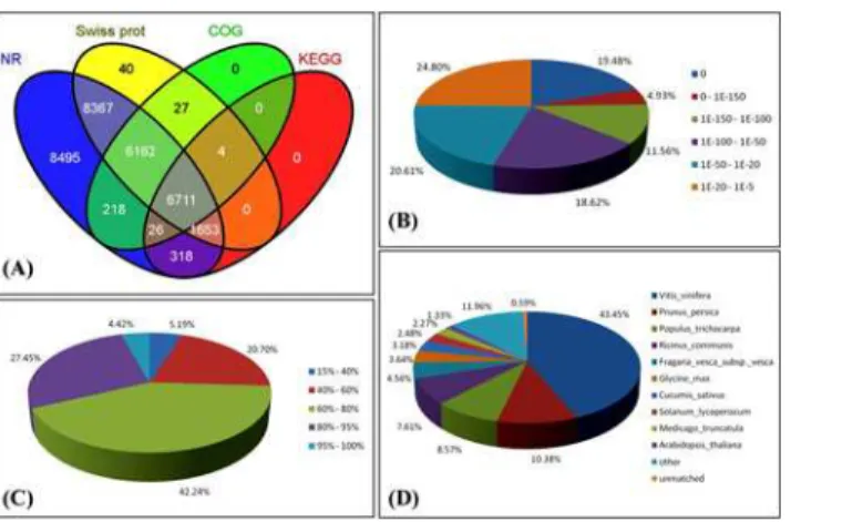 Fig 4. Characteristics of homology search of ‘ Hangbaishao ’ unigenes against the NR database