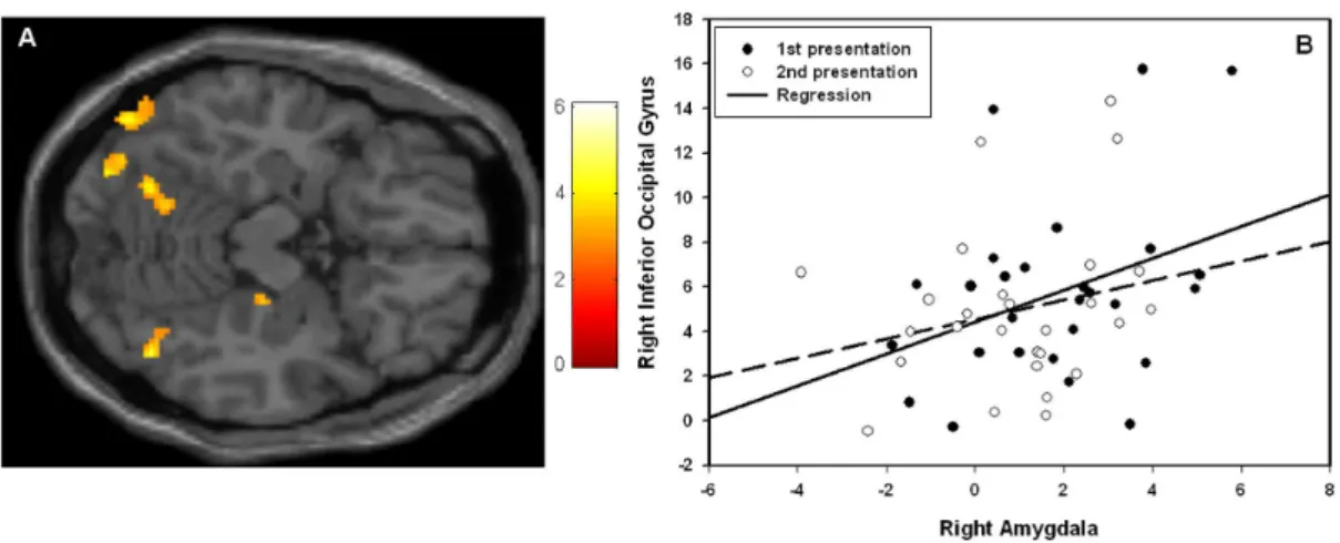 Figure 4. Psychophysiological interaction analysis. The results of the psychophysiological interaction analysis