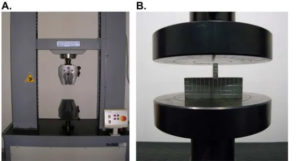 Fig 2. Preparation of the test. The tension-compression machine (A); and the compression plate tools used (B).