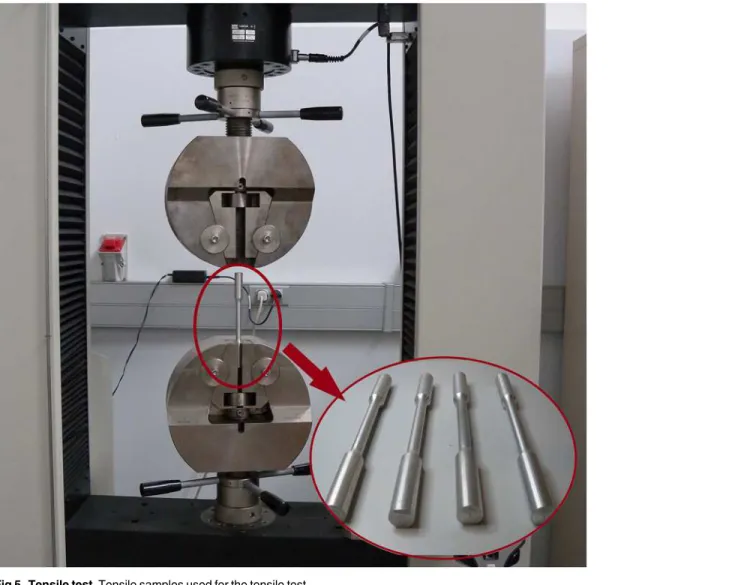 Fig 5. Tensile test. Tensile samples used for the tensile test.