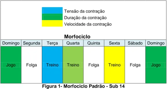 Figura 1- Morfociclo Padrão - Sub 14 