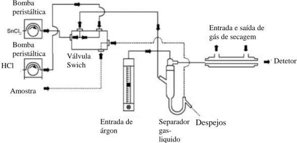 Figura 4: Esquema do detetor de fluorescência do CV-AFS. (PS Analytical Ltd, 2001) 
