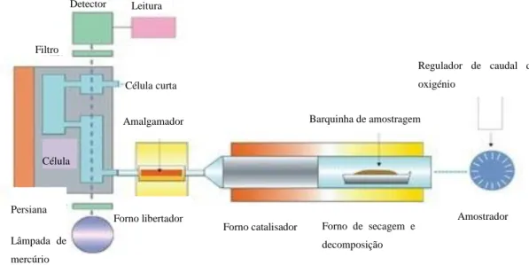 Figura 6: Analisador de Mercúrio AMA 254 e respetiva montagem. 