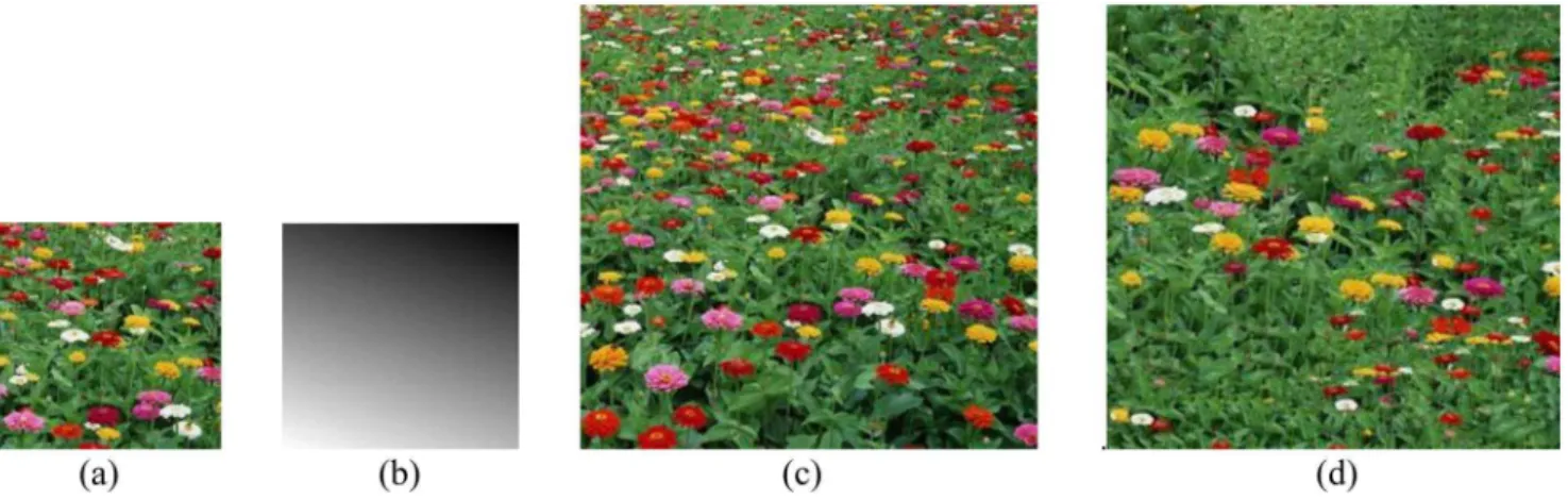 Figure 9. Perspective texture synthesis of a flower image. (a) the input example; (b) scale map with s = 60u, t = 20u; (c) our result; (d) optimization [Kwatra et al