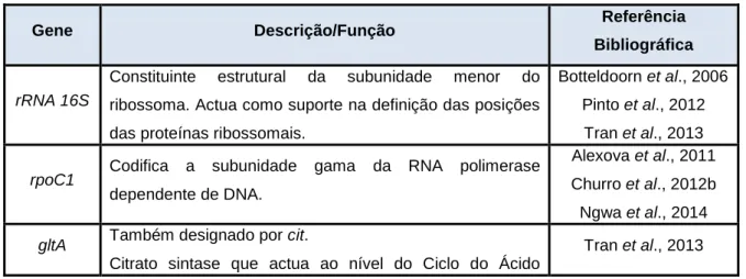 Tabela 2 – Descrição/função dos genes de referência utilizados na normalização da expressão obtida por  PCR quantitativo em tempo real.