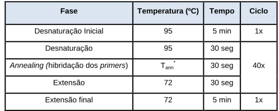 Tabela 4 – Programa do PCR convencional utilizado para a optimização de primers e para o despiste de  contaminação de DNA nas amostras de RNA purificadas