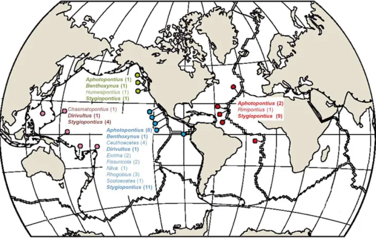 Figure 3. Worldwide distribution of dirivultid genera. Current findings of dirivultid genera on mid-ocean ridges and back-arc basins in the Atlantic (red color code), North East Pacific (green color code), East Pacific (blue color code), and West Pacific (