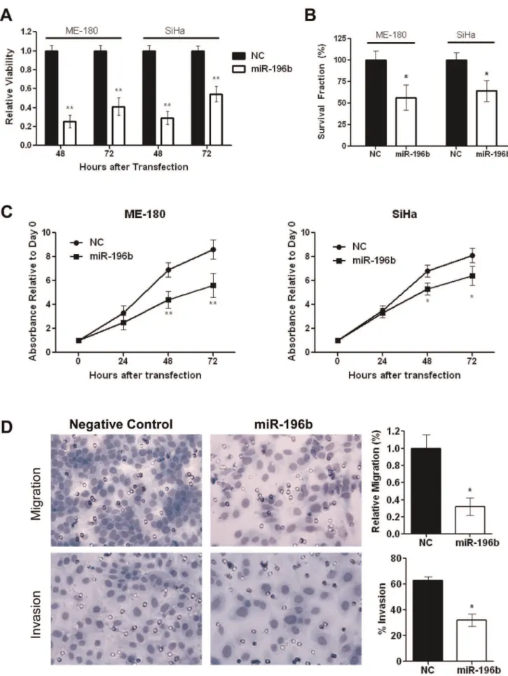 Figure 2. In vitro e ffects of miR-196b over-expression. A) Relative viability of ME-180 and SiHa cells were assessed at 48 and 72 hours post- post-transfection with pre-miR-196b (30 nmol/L), compared to Negative Control pre-miR (30 nmol/L), using the Tryp