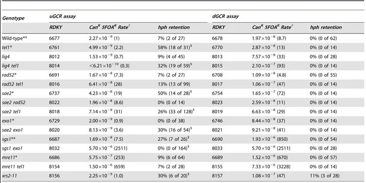 Table 2. GCR rates and percent hph retention in tel1, sae2, and related mutants.