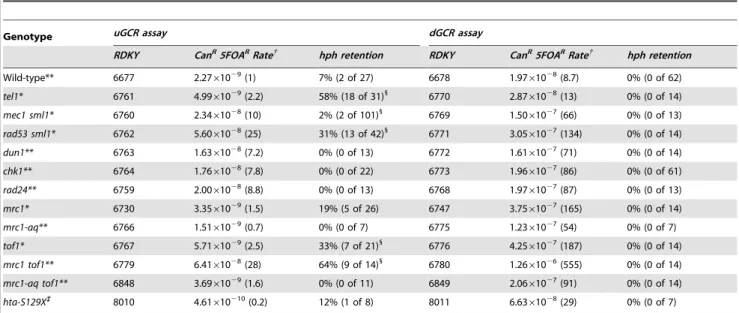 Table 5). Similarly, deletion of YKU70 and YKU80, which are required for de novo telomere addition and NHEJ but not telomere maintenance [29,56], increased the frequency of hph retention to 44% and 40%, respectively (p = 7 610 2 5 and p = 5 610 2 5 , respe