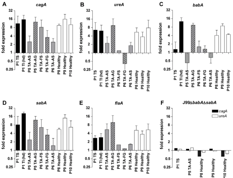 Table 4. Correlation between gene expression levels.