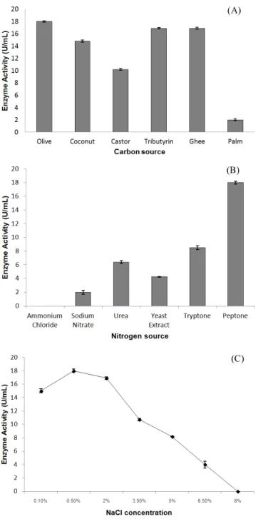Figure 2. (A) Effect of carbon source (1%) on lipase production.