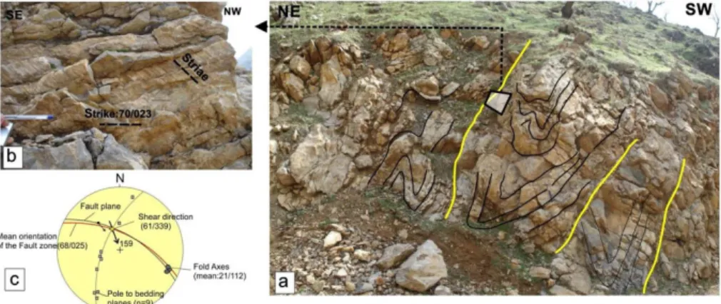 Figure 10. (a) Photograph and line drawing of fault zone in alternation of limestone and Radio- Radio-larite within the RadioRadio-larite zone (see Fig