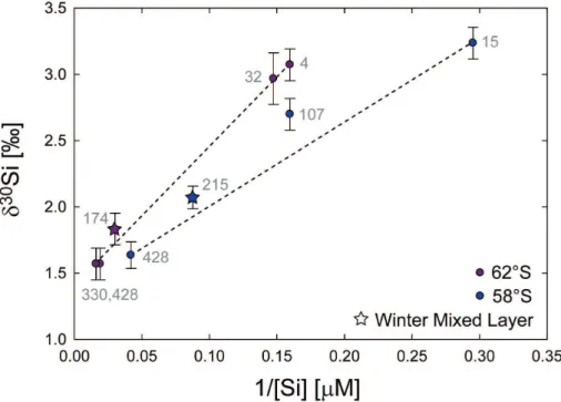 Fig. 6. A mixing diagram of δ 30 Si versus 1/[Si] for samples in the near-surface polar ocean.