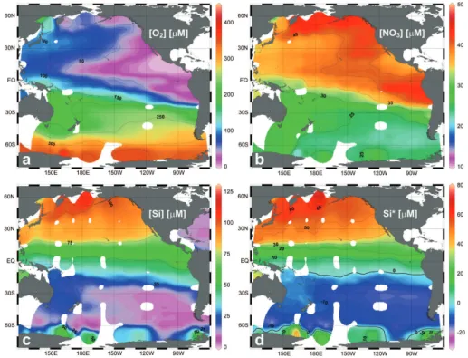 Fig. 7. Concentrations of biogeochemical tracers along the γ n = 27.15 kg m − 3 surface that cor- cor-responds to SAMW in the South Pacific Ocean