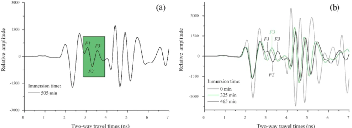 Figure 6. (a) Waterfront reflection maximum peaks; (b) waterfront reflection evolution along immersion time.