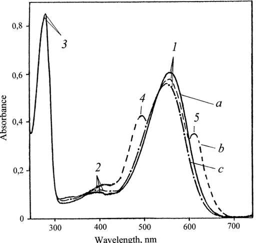 Figure 5: The absorption spectra of PM (50% (v/v) EtOH) at various stages of processing:  