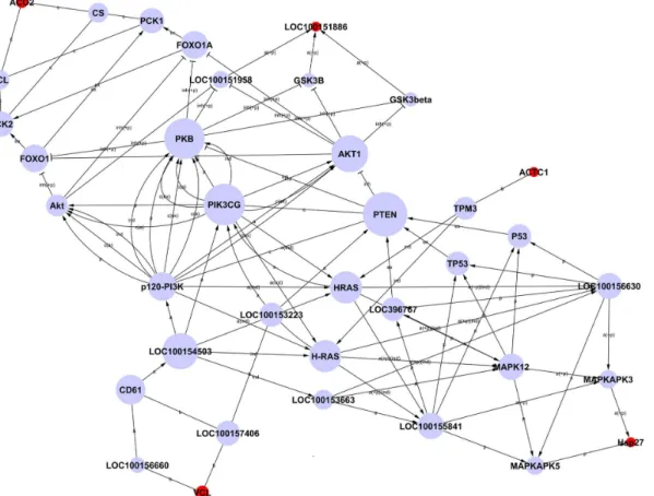 Fig 5. Network of interactions of differentially expressed proteins. Note: Each circle represents a protein (red, differential protein; blue, linking protein).