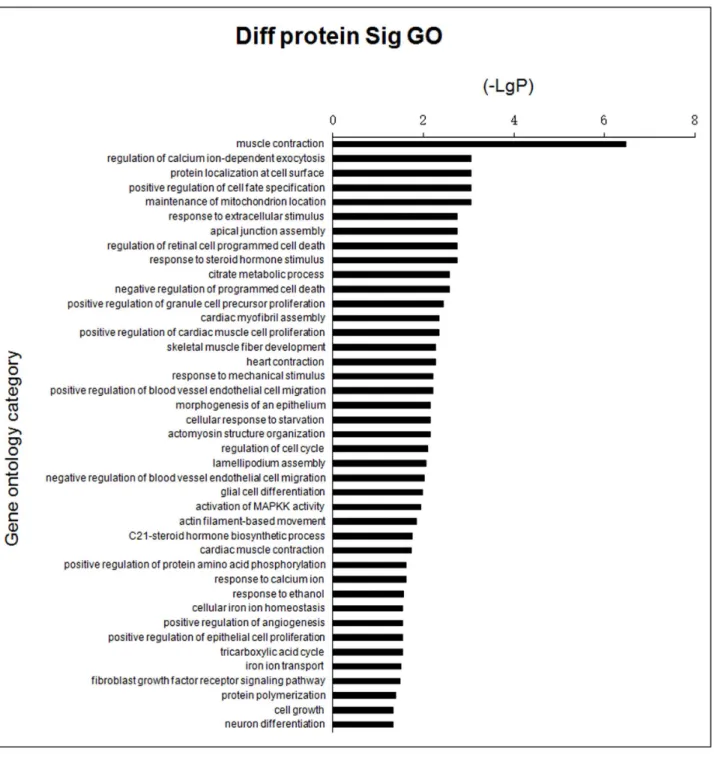 Fig 3. Bar chart showing GO analysis of differentially expressed proteins in groups of E 