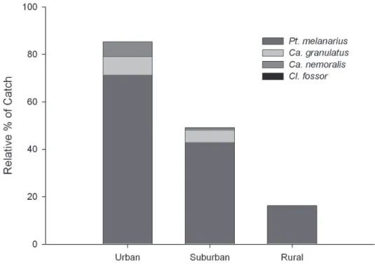 Figure 3. Representation of four introduced carabid species in the carabid fauna along the urban-rural  gradient (1998-99).