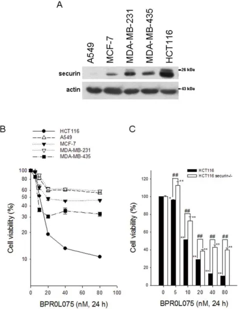 Figure 1. BPR0L075 induced cytotoxicity in various human cancer cell lines with different expression levels of endogenous securin.