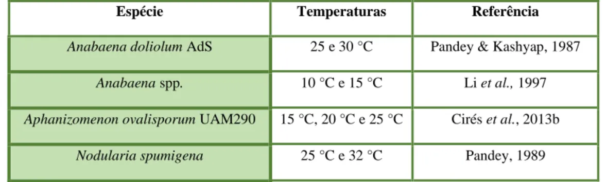 Tabela 1.3 - Espécies de cianobactérias e temperaturas reportadas que induziram a formação de acinetos.