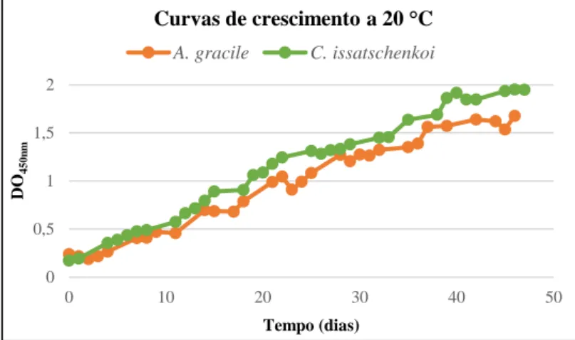 Figura 4.1 - Curvas de crescimento de Aphanizomenon gracile LMECYA40 (laranja) e Cuspidothrix issatschenkoi  LMECYA31 (verde) à temperatura de 20 °C
