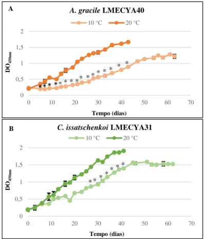 Figura  4.4  -  Curvas  de  crescimento  de  Aphanizomenon  gracile  LMECYA40  (A)  e  Cuspidothrix  issatschenkoi  LMECYA31 (B) às duas temperaturas em estudo (10 e 20 °C)