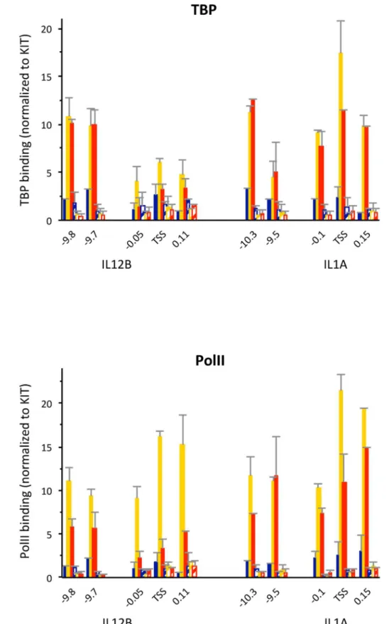 Figure 6. PolII and TBP binding in the fraction of IL12B and IL1A promoters in a population of induced BMDMs that is nucleosome- nucleosome-free