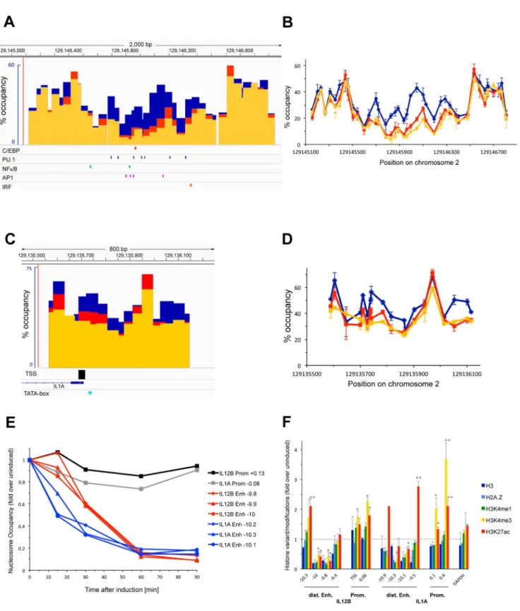 Figure 2. Changes in nucleosome occupancy upon LPS induction at a putative distal enhancer and promoter of IL1A, kinetics of nucleosome removal, and changes in histone modifications