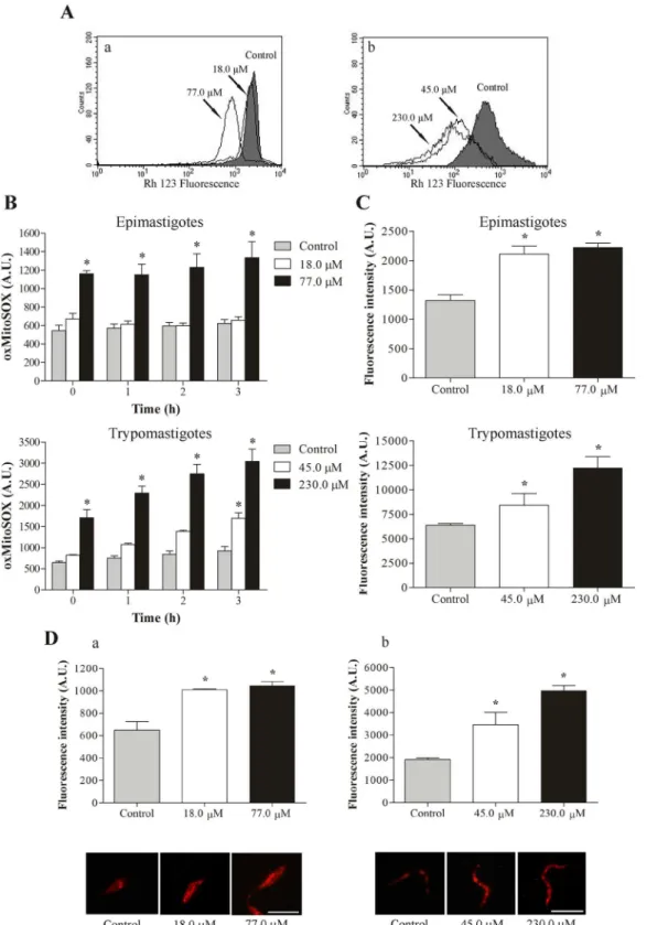 Fig 2. Evaluation of mitochondrial membrane potential, ROS production and lipid inclusions in T 