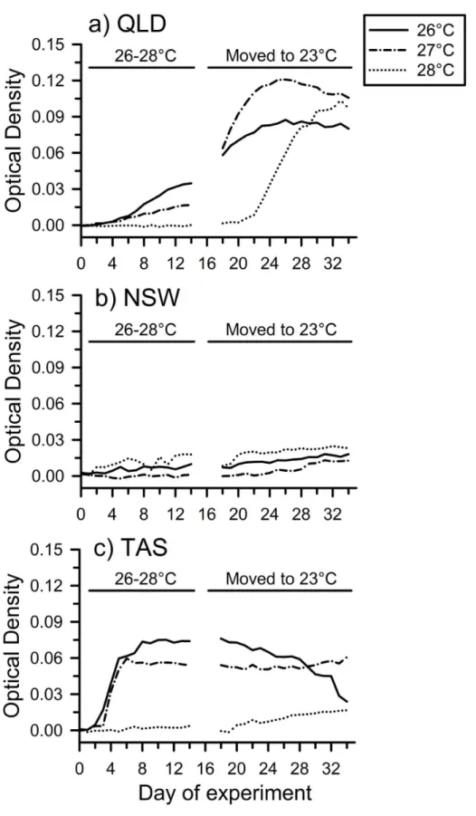 Figure 7.   Patterns of growth of Batrachochytrium dendrobatidis (Bd) (measured as optical density) over time (days) at constant temperatures ranging from 26–28°C for 14 days, and maintained at 23°C thereafter, shown for isolates from (a) Queensland (QLD),