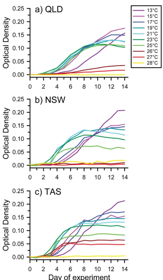 Figure 2.  Patterns of growth of Bd (measured as optical density) over time (days) at constant temperatures ranging from 13–28°C,  shown  for  isolates  from  (a)  Queensland  (QLD),  (b)  New  South  Wales  (NSW),  and  (c)  Tasmania  (TAS), Australia