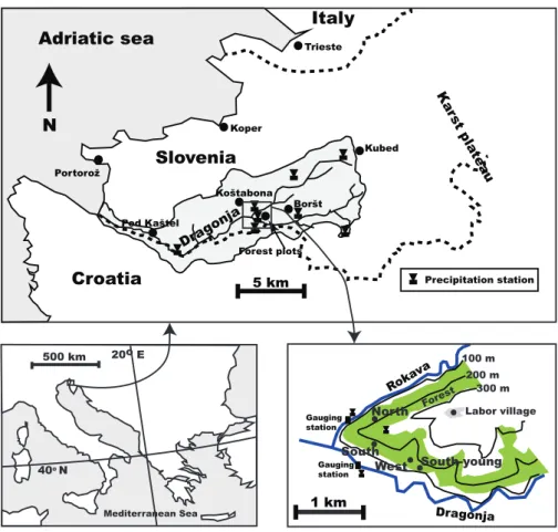 Fig. 2. Map showing the location of the four forest plots and meteorological stations.