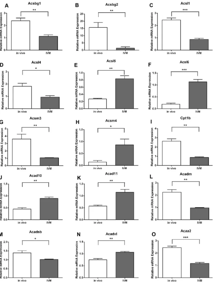 Figure 3. Gene transcripts involved in fatty acid oxidation are dysregulated in cumulus oocyte complexes matured in vitro (IVM).