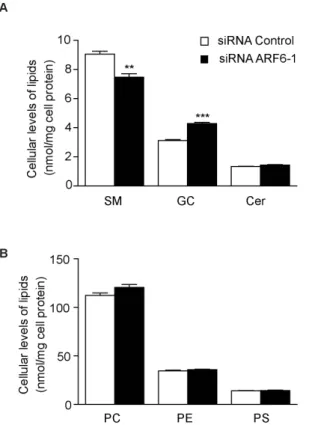 Figure 3. ARF6 knockdown increases cellular glucosylceramide levels through increased glucosylceramide synthase activity in Neuro-2a cells