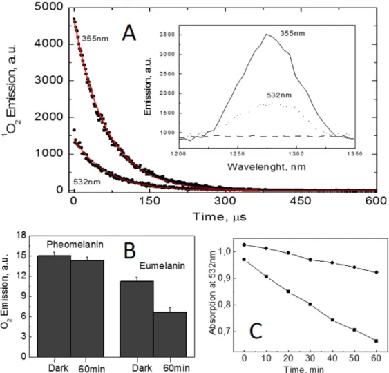 Figure 1. 1 O 2 generation from melanin. (A) 1 O 2 decay from a eumelanin solution (0.04 g.L 21 ) in acetonitrile, pD = 10 with excitation at either 355 or 532 nm